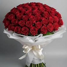 Букет 101 Красная роза Блэк Мэджик в Баймаке