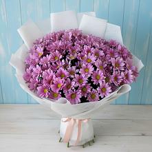 Букет цветов из:  Хризантемы в Баймаке