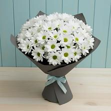 Букет цветов из:  Хризантемы в Баймаке