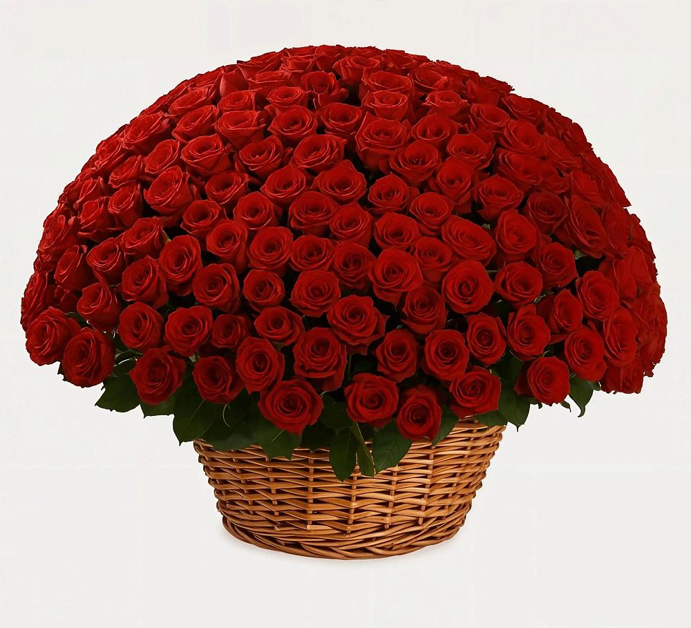 Премиум букет из: Розы в Баймаке