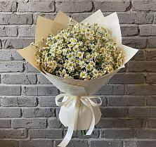Букет цветов из:  Ромашки #REPLACE_PRED# Баймаке