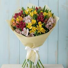 Букет цветов из:  Альстромерии в Баймаке