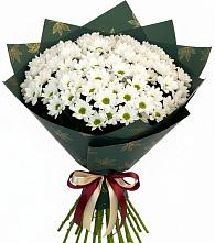 Букет цветов из:  Хризантемы в Баймаке