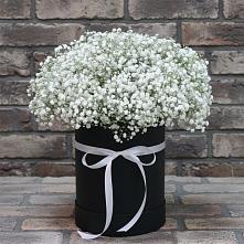 Цветочная композиция из Гипсофила в шляпной коробке в Баймаке