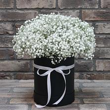 Цветочная композиция из Гипсофила в шляпной коробке в Баймаке